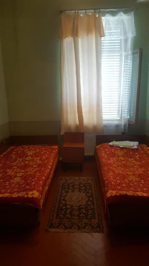 Firuza Hostel Боржоми Екстериор снимка