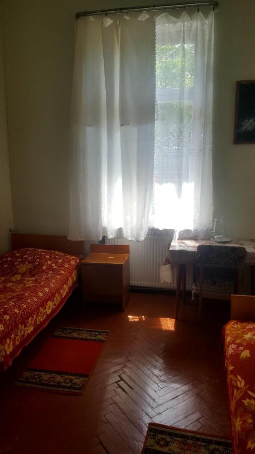 Firuza Hostel Боржоми Екстериор снимка